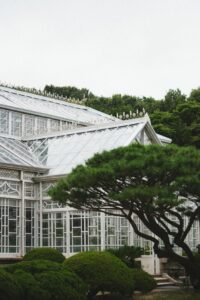 Traditional conservatory extension on a residential property