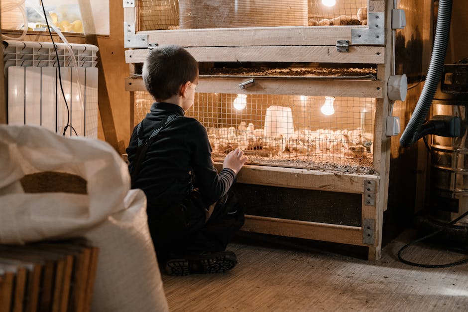 Boilers grants in Silverdale