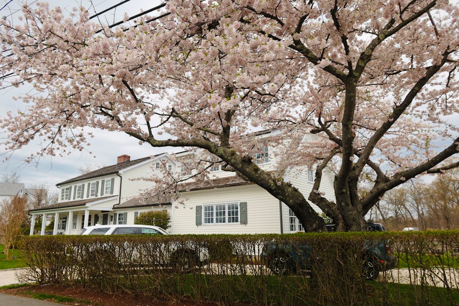 Conservatory Roofs installation in Sutton — costs and installers 2026