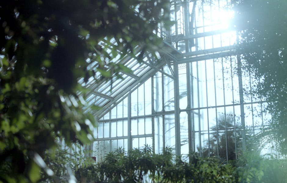 Conservatory Roofs grants in Lancaster