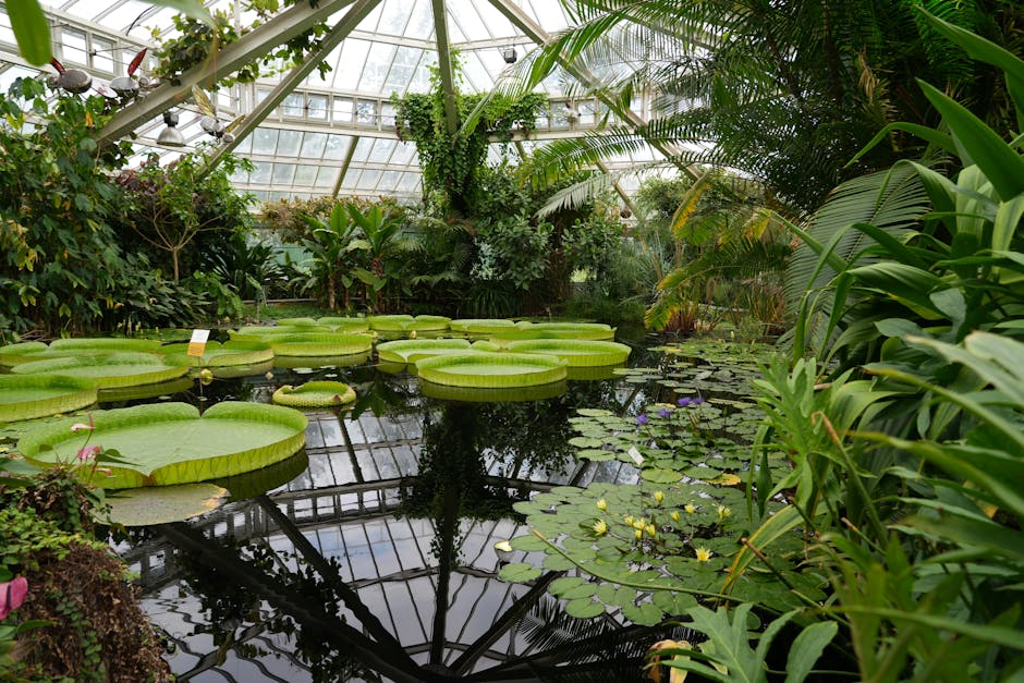 Conservatory Roofs installer in Leeds
