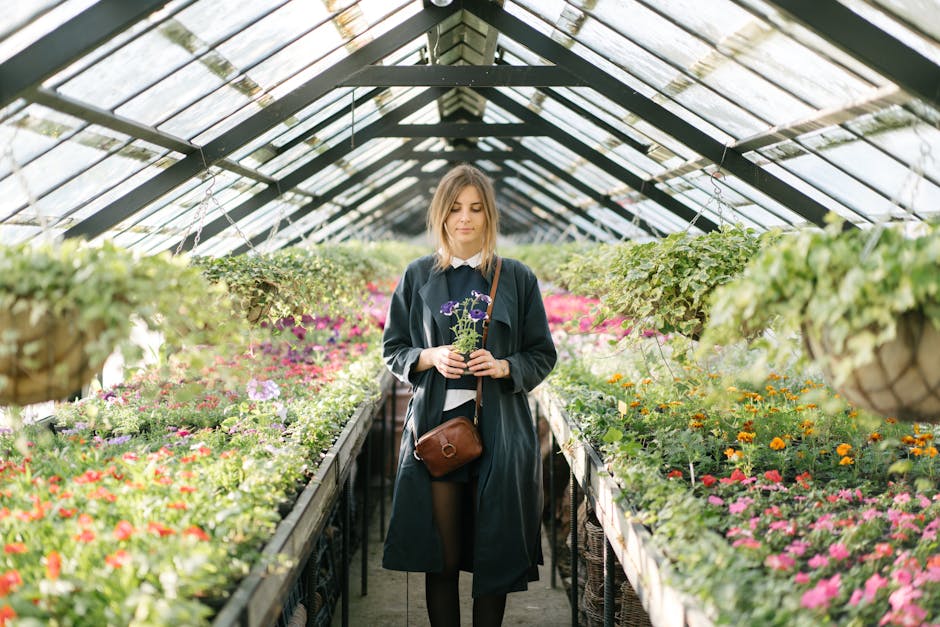 Conservatory Roofs grants in Liverpool