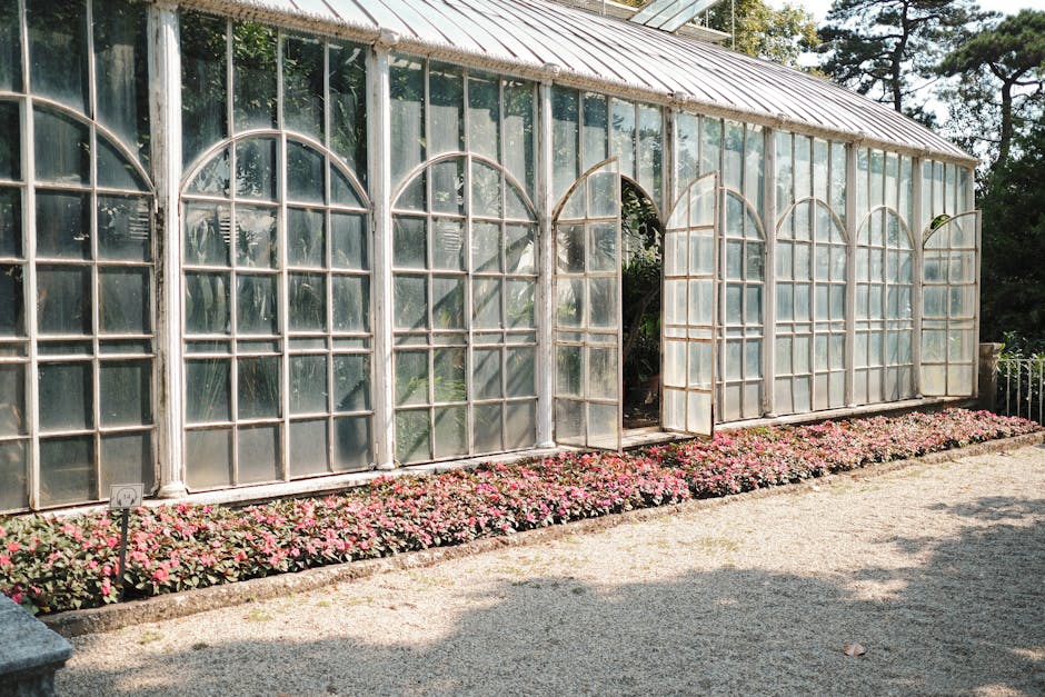 Conservatory Roofs grants in Cumbernauld