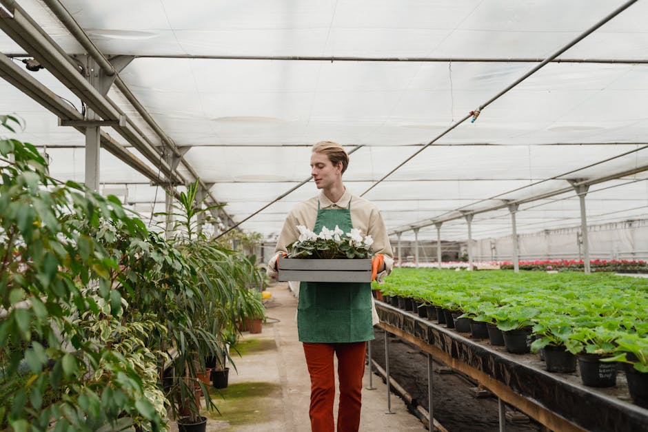 Conservatory Roofs grants in Middlesbrough
