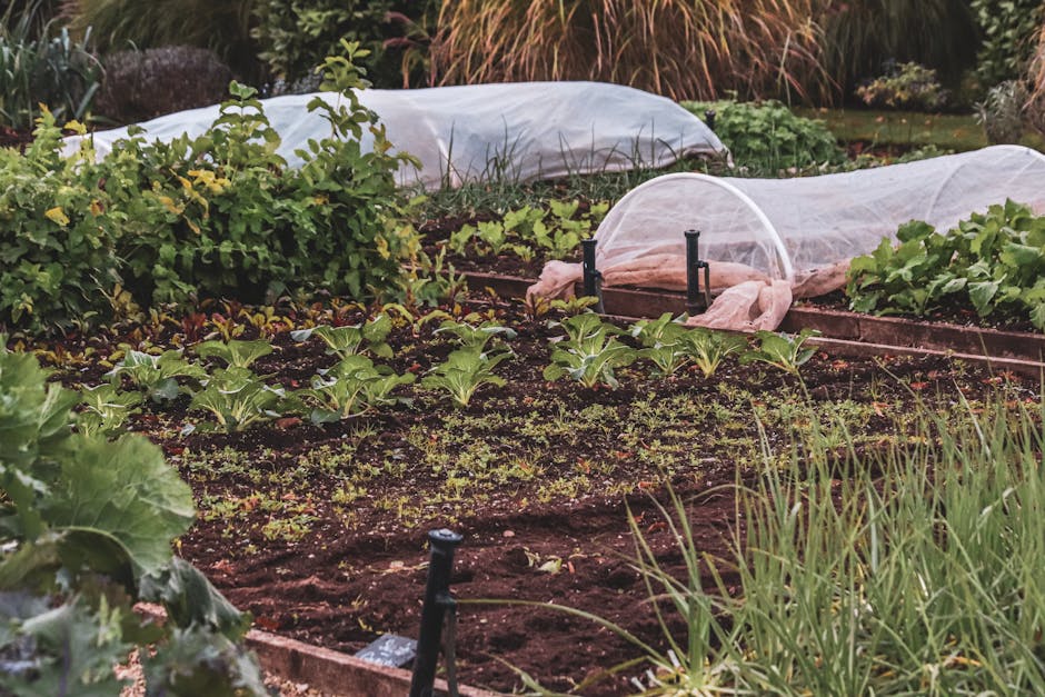 Conservatory Roofs grants in Norwich