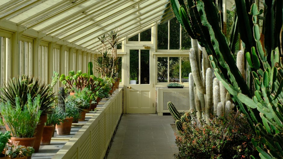 Conservatory Roofs installer in Nottingham