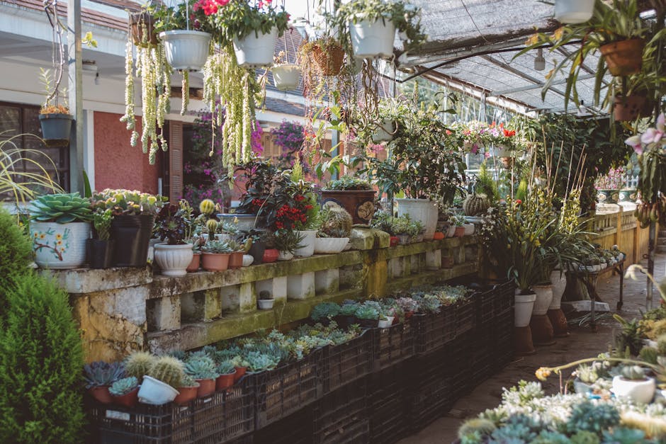 Conservatory Roofs grants in Oldham