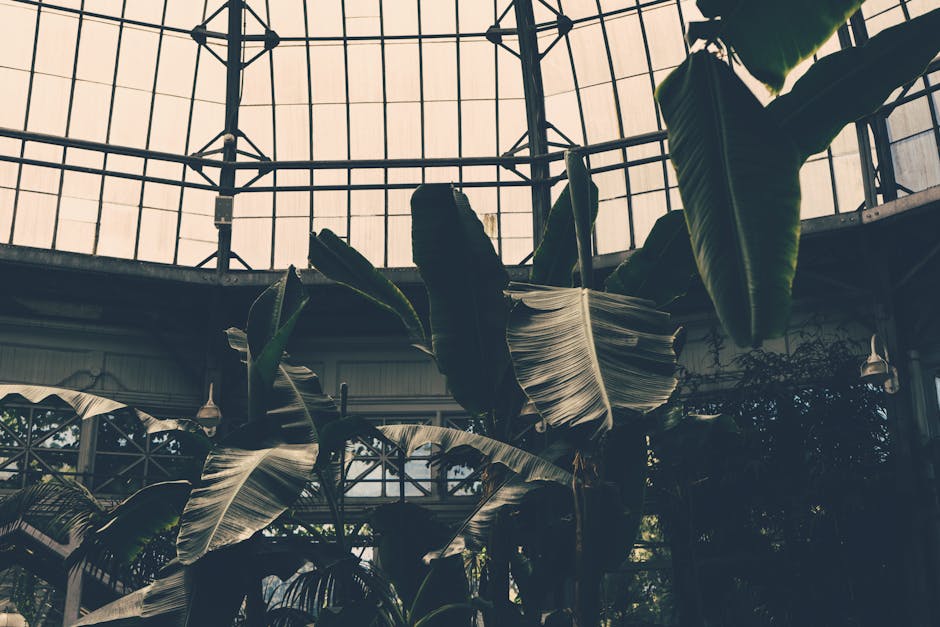 Conservatory Roofs grants in Peterborough