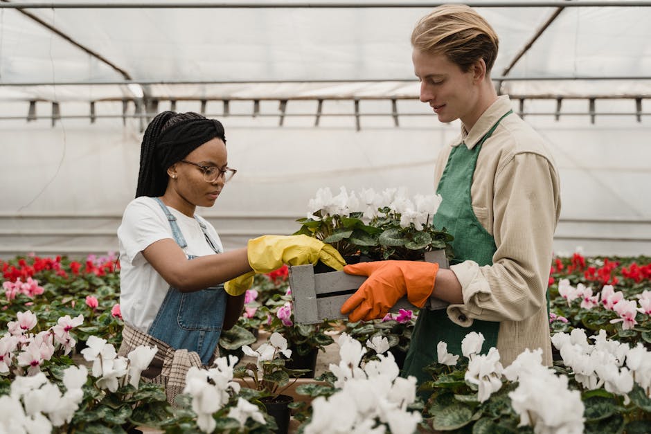 Conservatory Roofs grants in Plymouth