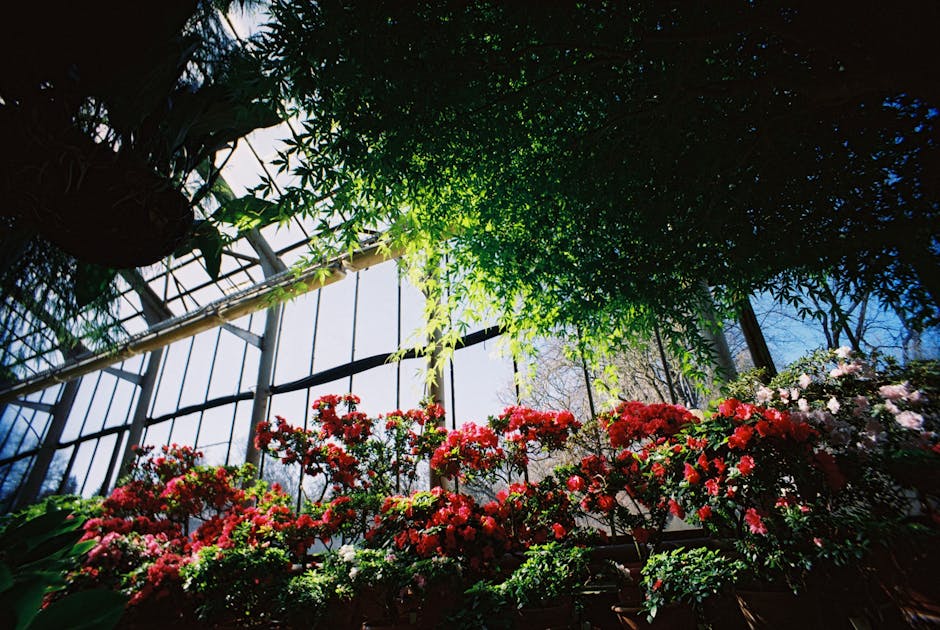 Conservatory Roofs installation in Shrewsbury — costs and installers 2026