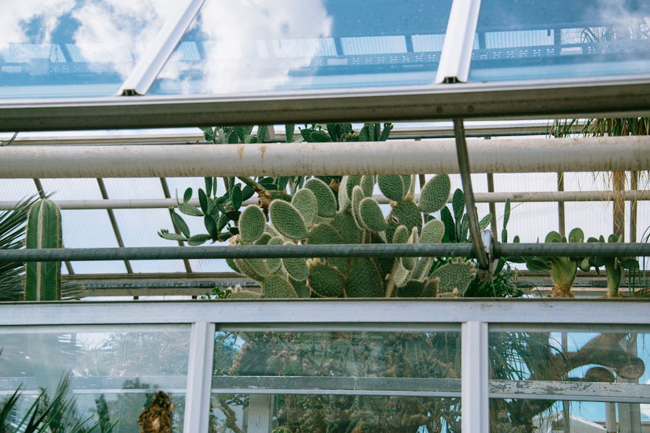 Conservatory Roofs installation in Southport — costs and installers 2026