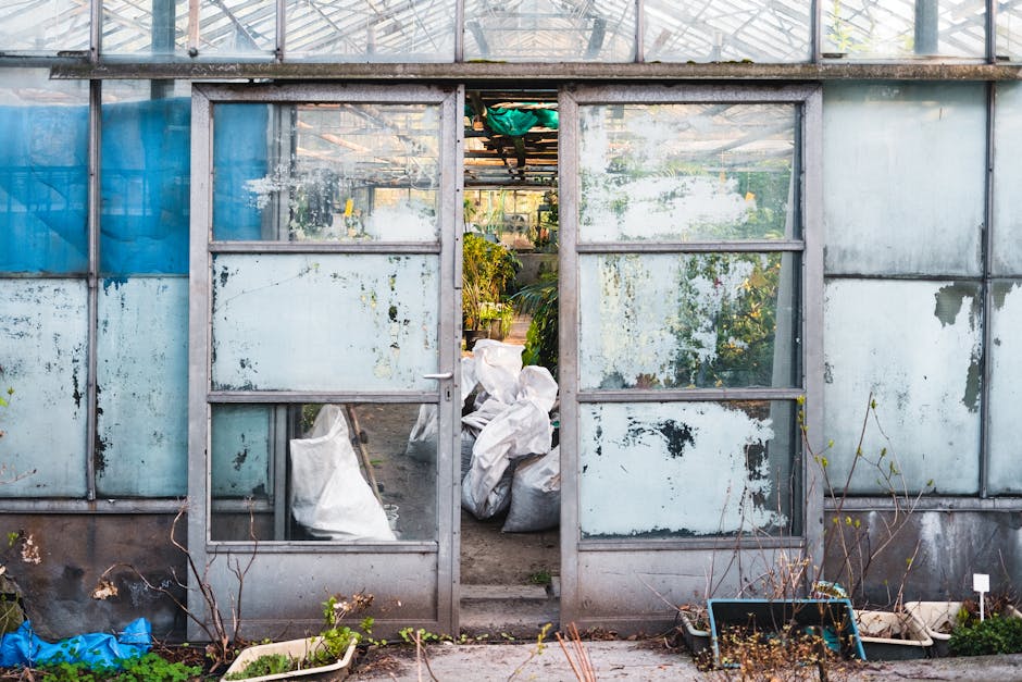 Conservatory Roofs grants in Sunderland