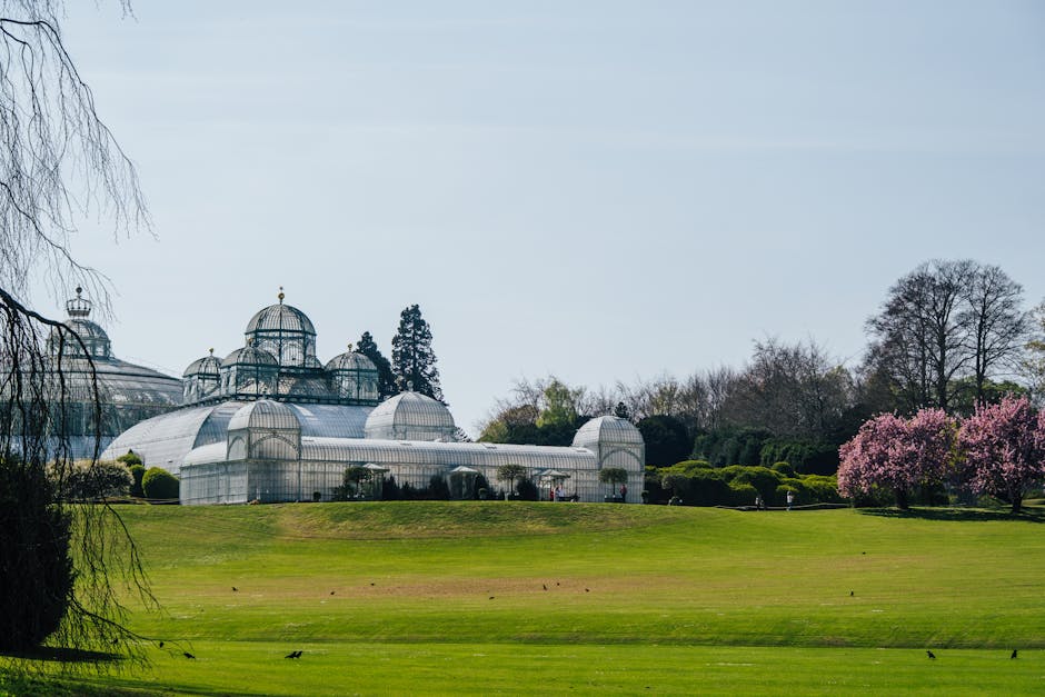 Conservatory Roofs installation in Swansea — costs and installers 2026