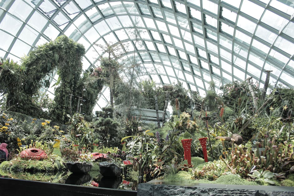 Conservatory Roofs grants in Swansea