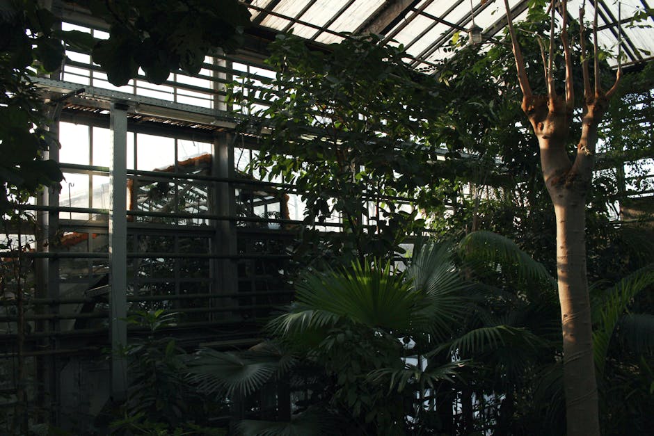 Conservatory Roofs installer in Belfast