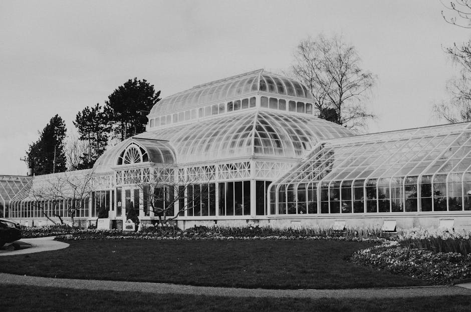 Conservatory Roofs installer in Birkenhead