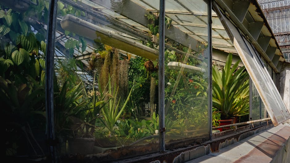 Conservatory Roofs grants in Blackpool