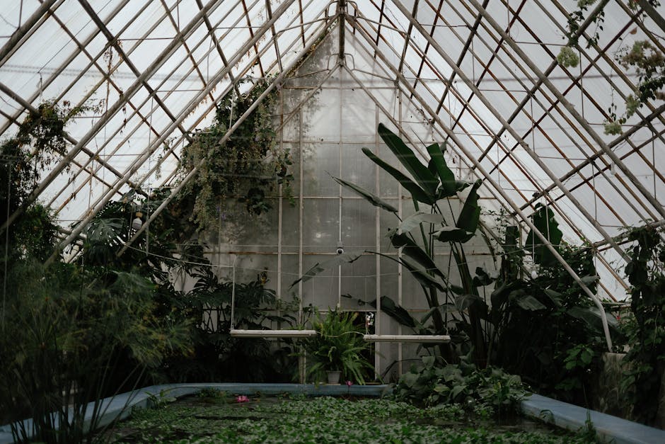 Conservatory Roofs installation in Brighton — costs and installers 2026