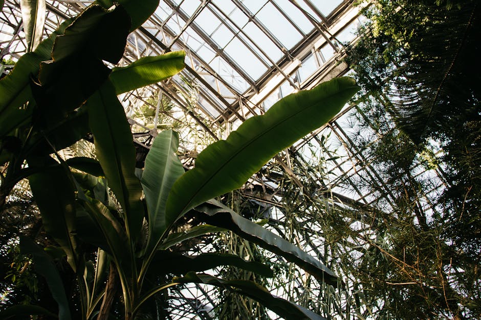 Conservatory Roofs installation in Bristol — costs and installers 2026