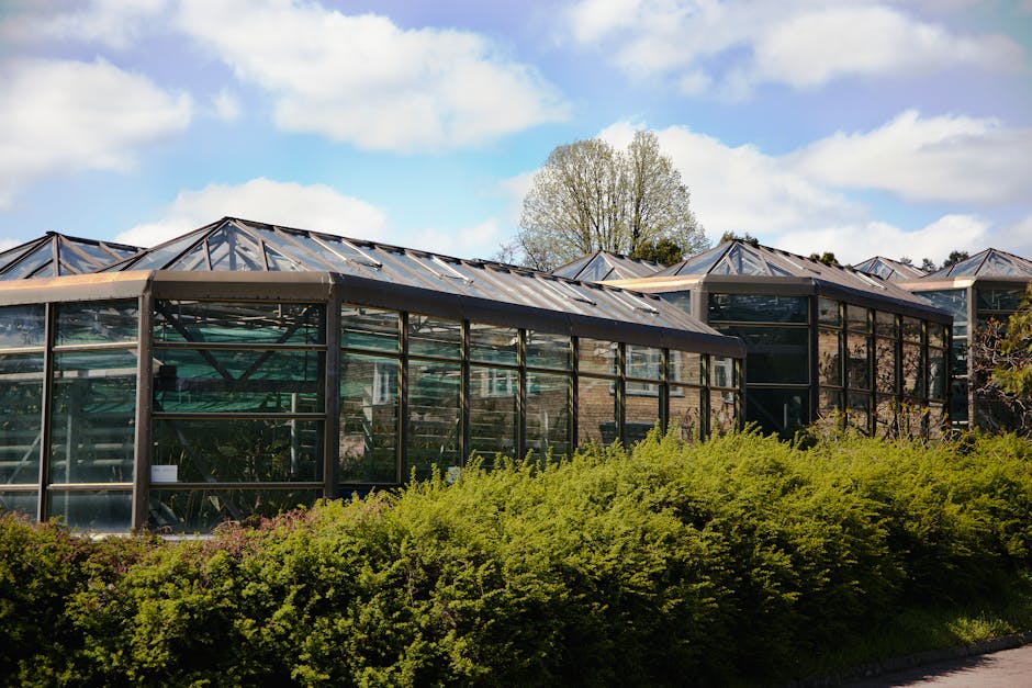 Conservatory Roofs installer in Bristol