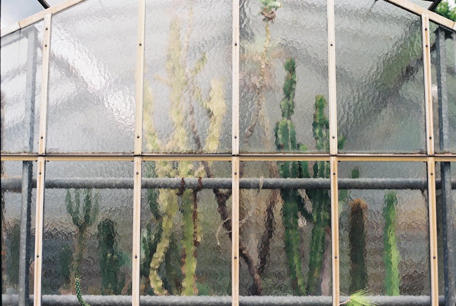 Conservatory Roofs grants in Cambridge