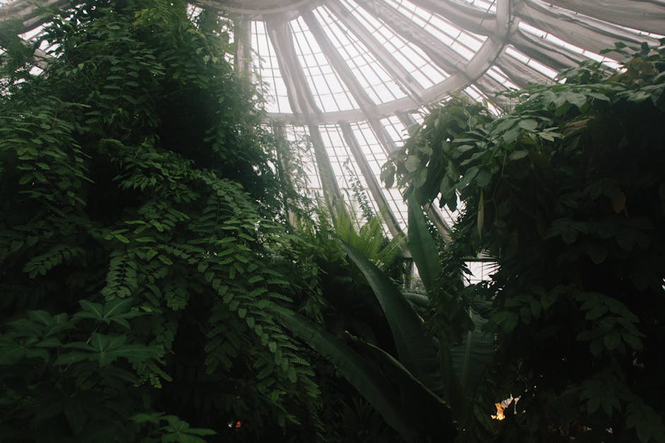 Conservatory Roofs installation in Cardiff — costs and installers 2026