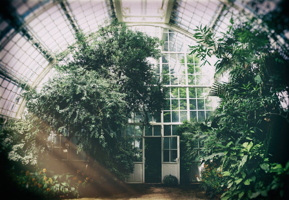 Conservatory Roofs grants in Chorley
