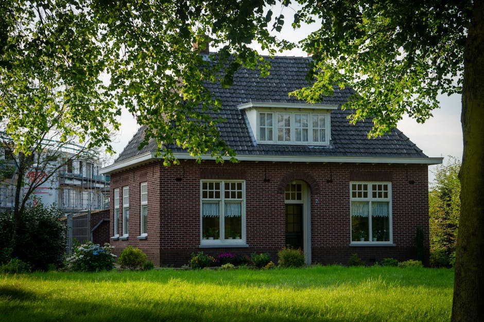 Conservatory Roofs grants in Droylsden