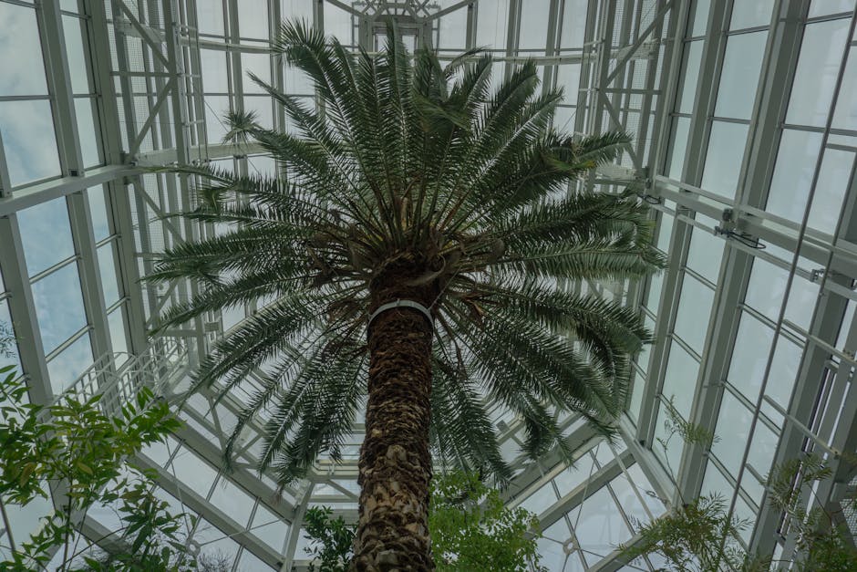 Conservatory Roofs grants in Derby
