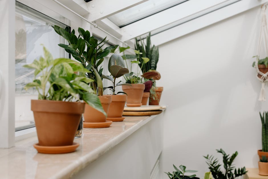 Conservatory Roofs installer in Garstang
