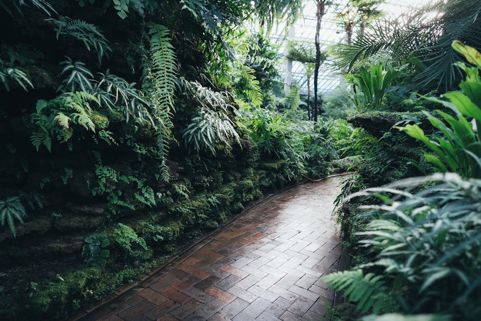 Conservatory Roofs installer in Edinburgh