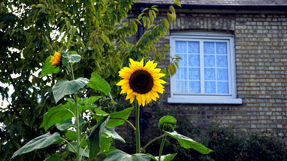 Conservatory Roofs grants in Leigh