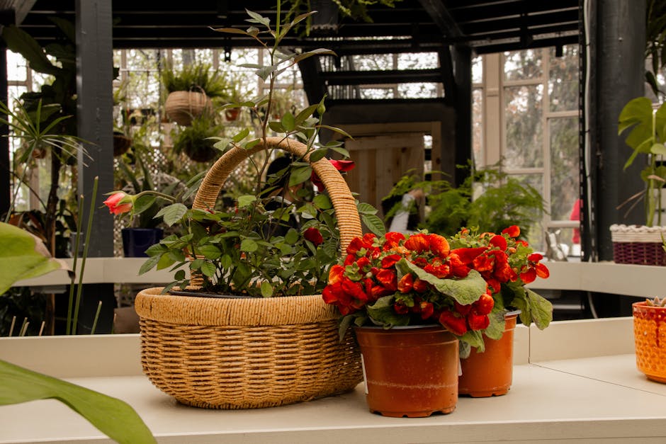 Conservatory Roofs installation in Gloucester — costs and installers 2026