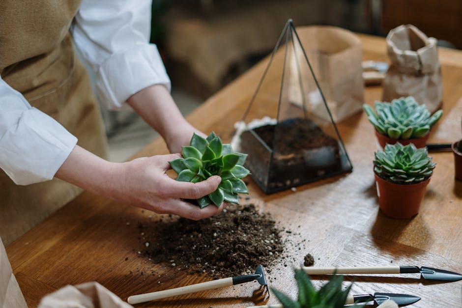 Conservatory Roofs grants in Mossley