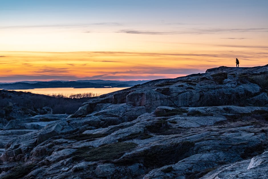 Conservatory Roofs installer in Nelson