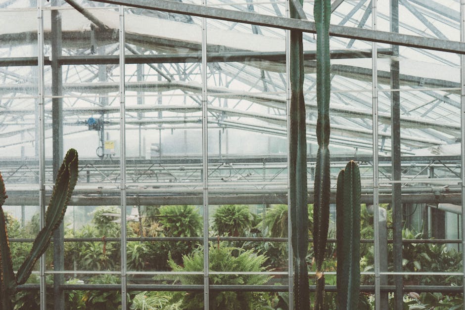 Conservatory Roofs installer in Kingston upon Hull