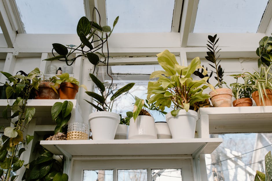Conservatory Roofs installer in Rishton