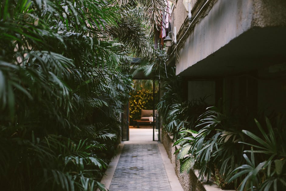 Conservatory Roofs installer in Silverdale