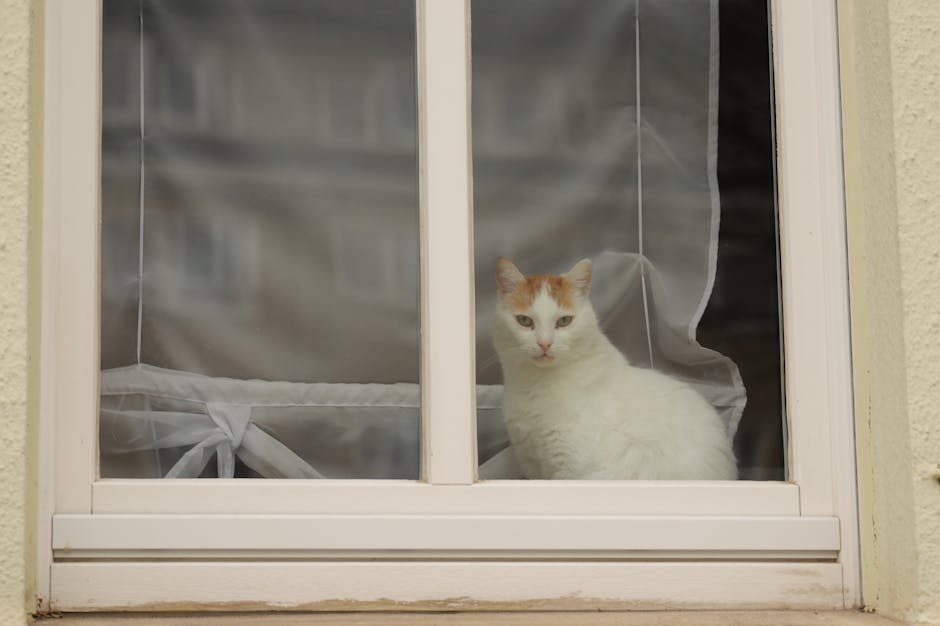 Double Glazing installation in Mottram-in-Longdendale — costs and installers 2026