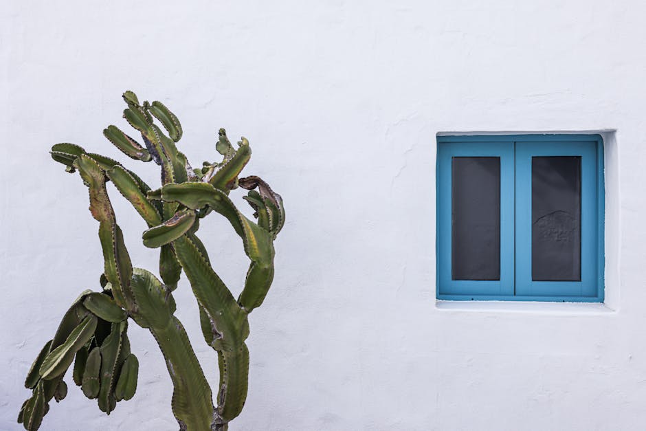 Double Glazing installation in Rusholme — costs and installers 2026