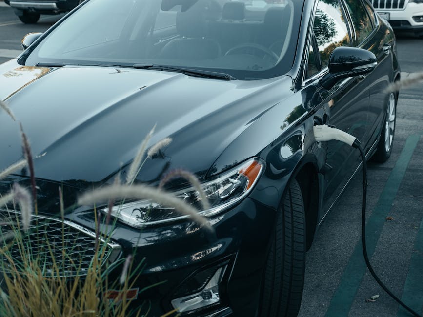 Home EV Chargers installer in Colchester