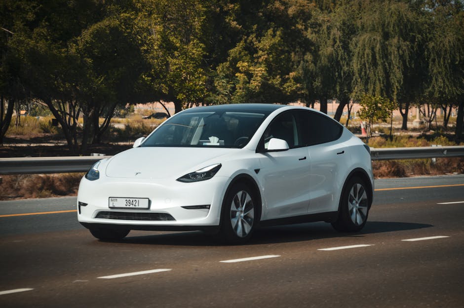 Home EV Chargers installation in Everton — costs and installers 2026