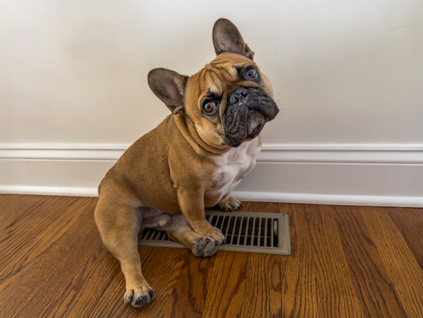 Heat Pumps grants in Southampton