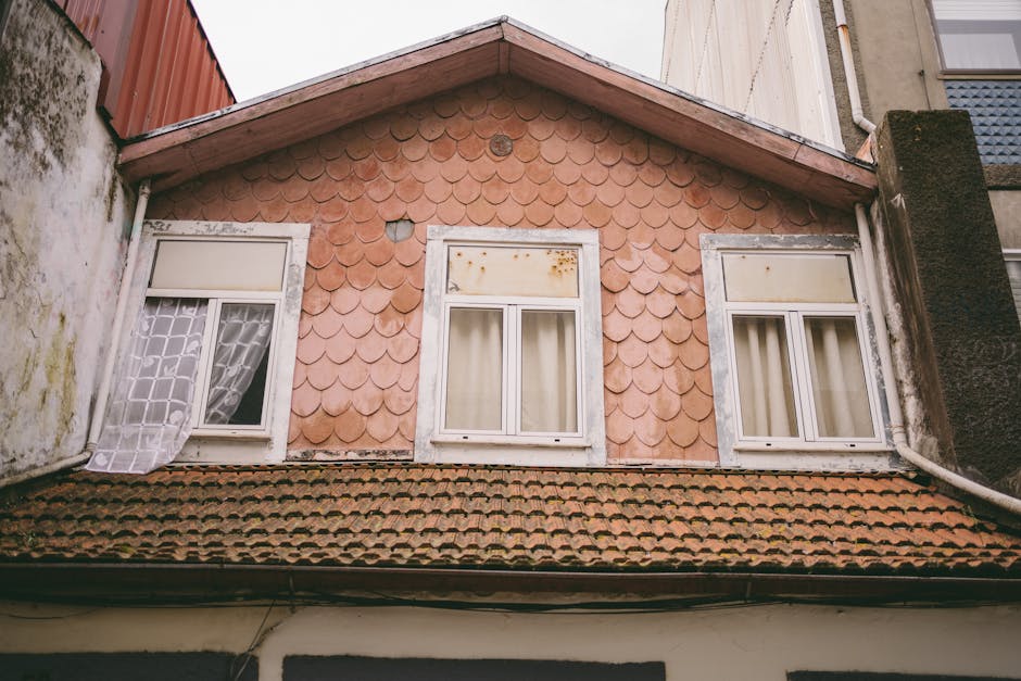 Home Insulation installer in Southampton