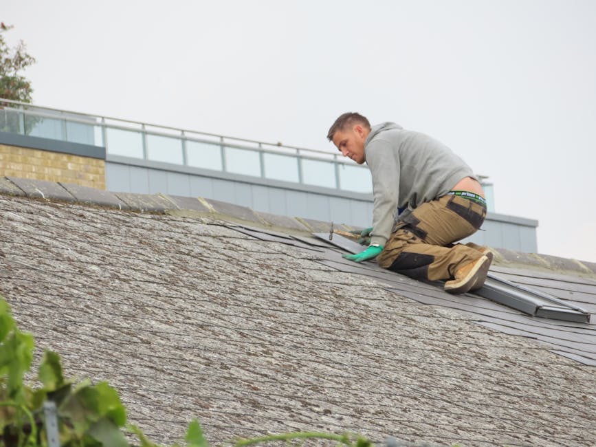 Home Insulation installer in Beswick