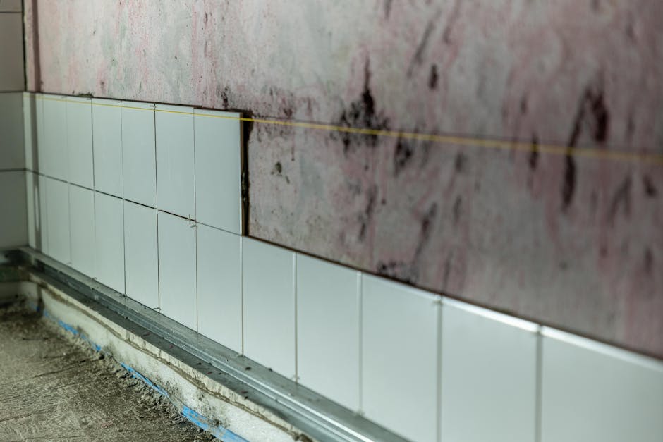 Home Insulation grants in Dundee
