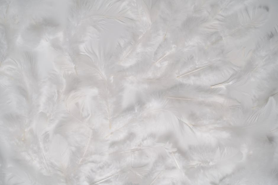 Home Insulation installation in Higher End — costs and installers 2026