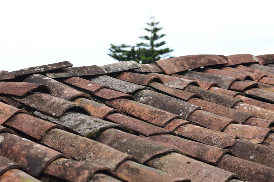 Solar Panels installer in Stretford