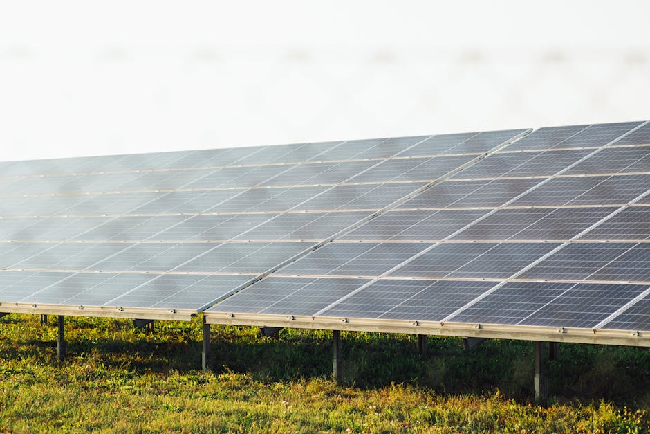 Solar Panels installer in Grimsby