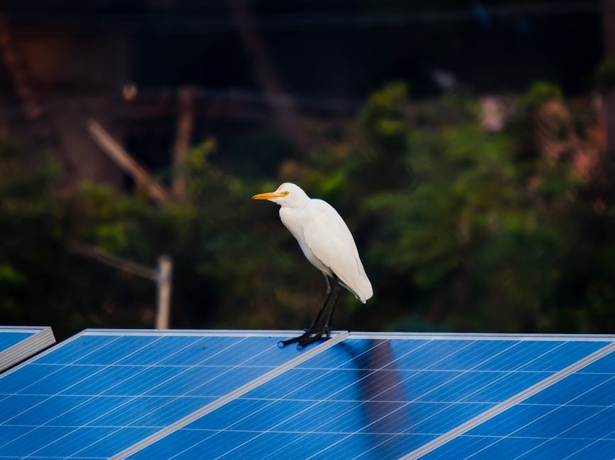 Solar Panels installation in Formby — costs and installers 2026